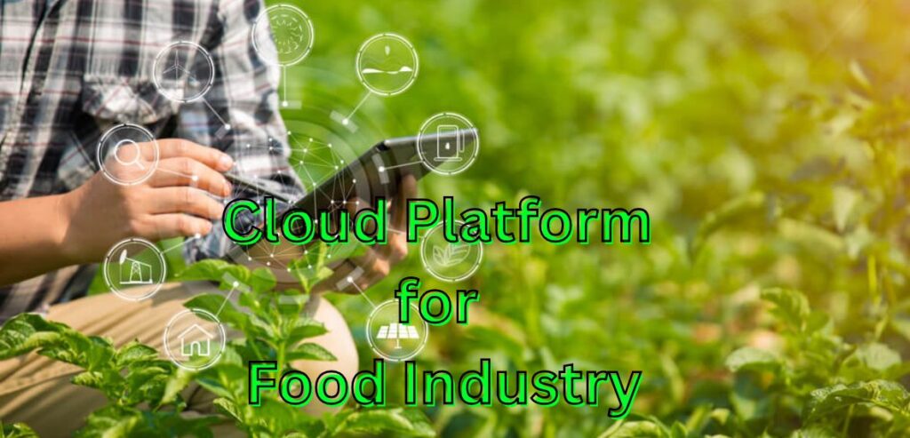 Key Features to Consider in a Cloud Platform for the Food Industry